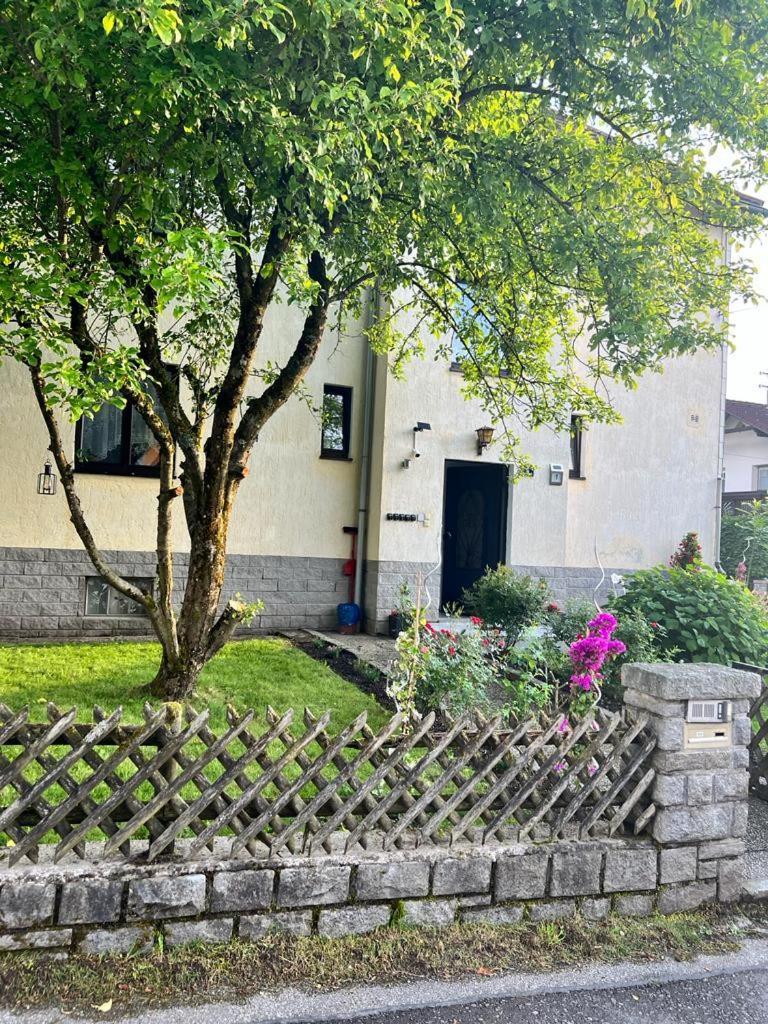 Pension Donaublick Grein 1 , Spitzfeldstr 1 Exteriör bild