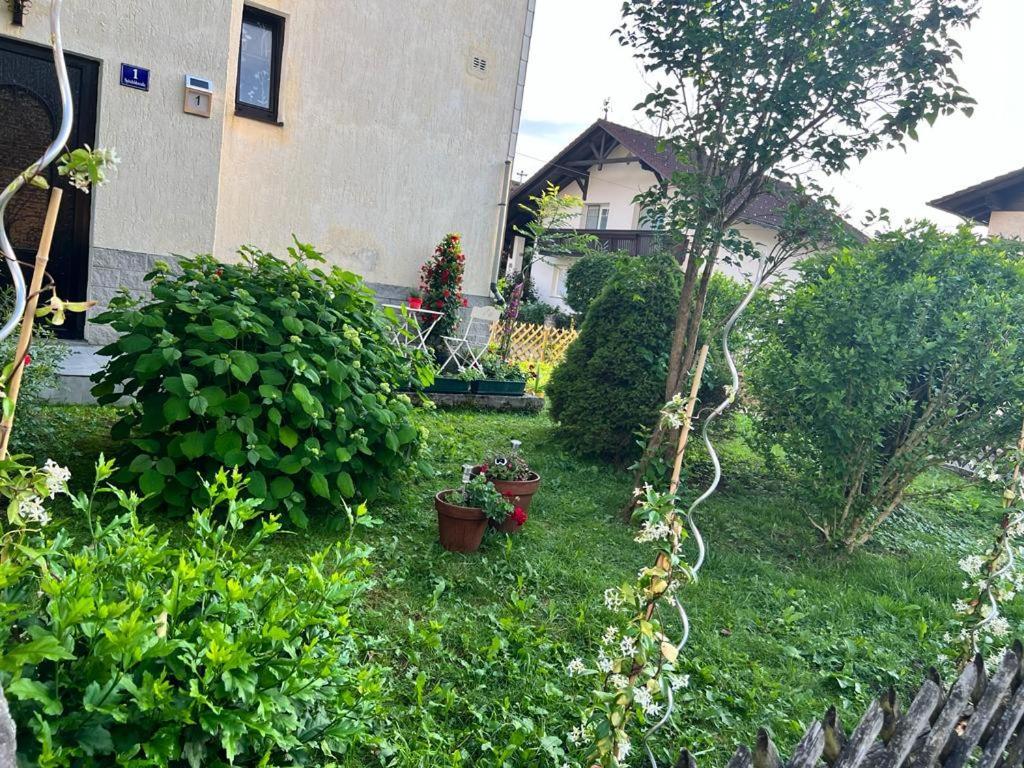 Pension Donaublick Grein 1 , Spitzfeldstr 1 Exteriör bild